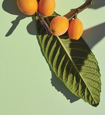 Banner Ingredientes Waso Skincare Banner Ingredientes Waso Skincare