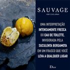 Sauvage-VCS-Ingredients-Board-PT